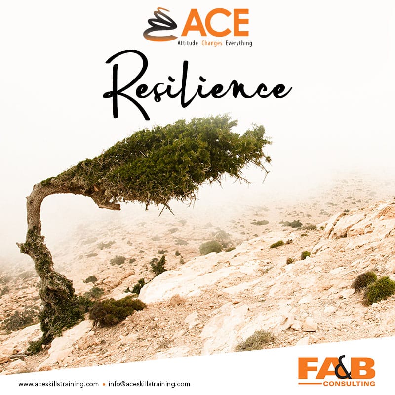 Resilience